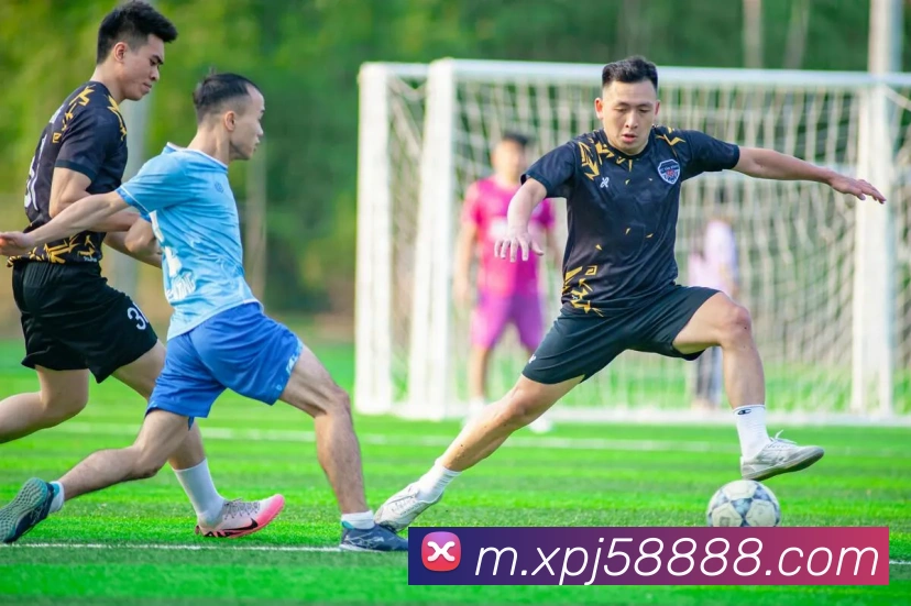 xpj发展历程